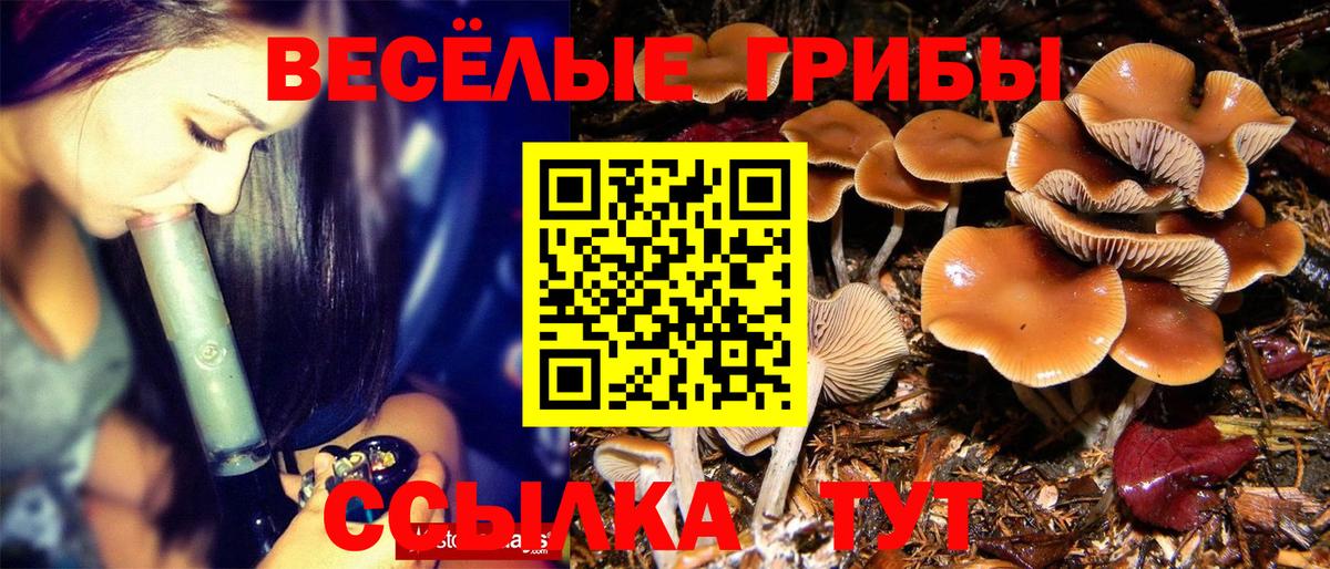 ГАШ Добрянка